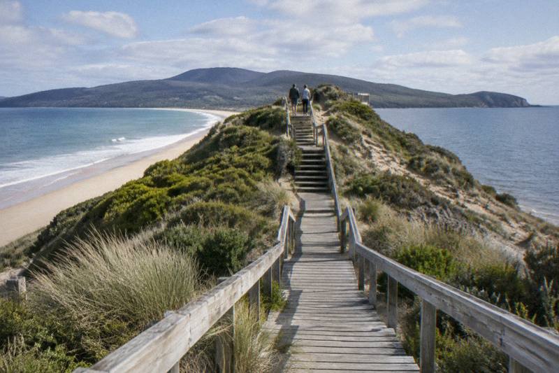 Bruny Island Traveller - Gourmet Tasting and Sightseeing Day Trip from Hobart in Tasmania