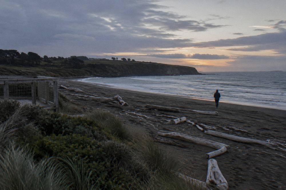 A dark coastal reserve at dusk with low headland, gentle surf and scattered driftwood along the shoreline