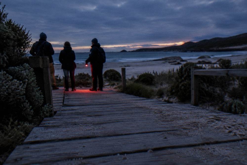 A small group of visitors in dark jackets standing quietly on a coastal boardwalk at dusk, facing a dim beach