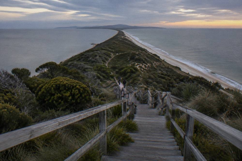 The Neck boardwalk and lookout staircase at twilight with the narrow isthmus stretching into the distance