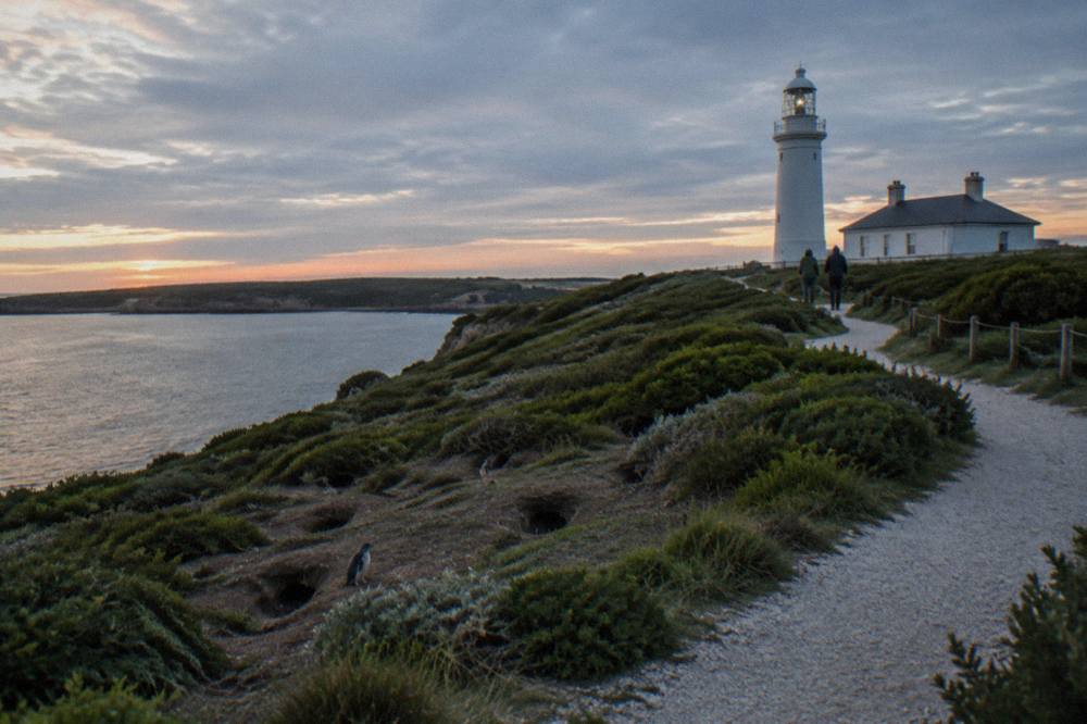 A white lighthouse on a green headland above a calm bay at dusk