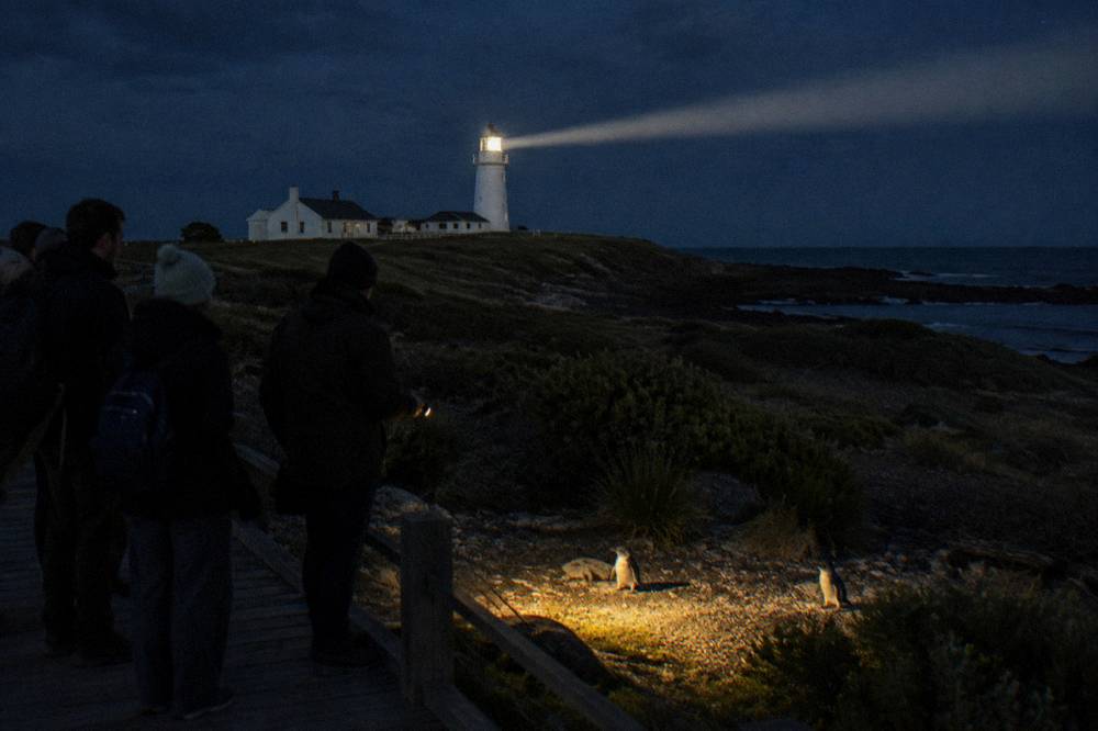 A small group of visitors in dark clothing standing quietly on a coastal boardwalk at night