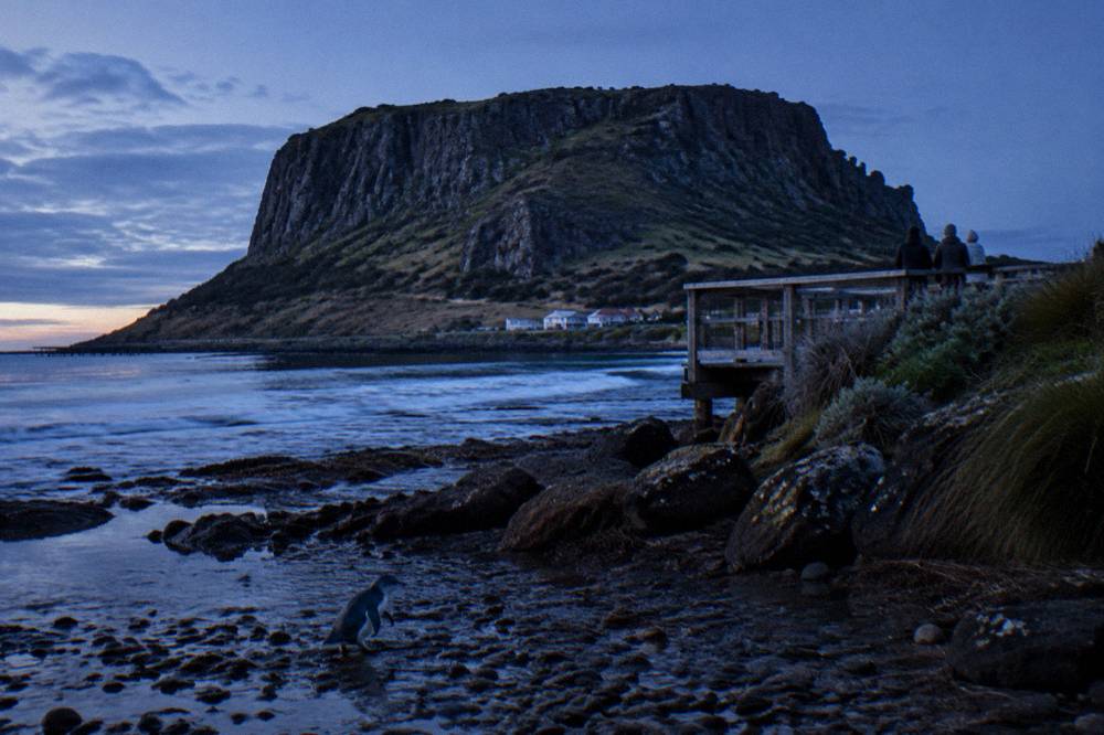A viewing platform along a dark Tasmanian beach at dusk