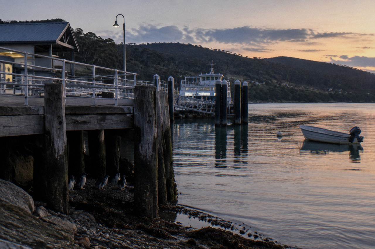 A quiet country road winding toward the Kettering ferry terminal on a calm Tasmanian morning