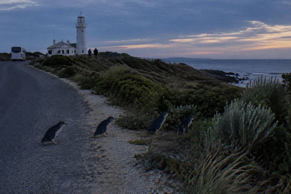 A coach parked on a quiet coastal road at dusk with headland and darkening sky beyond