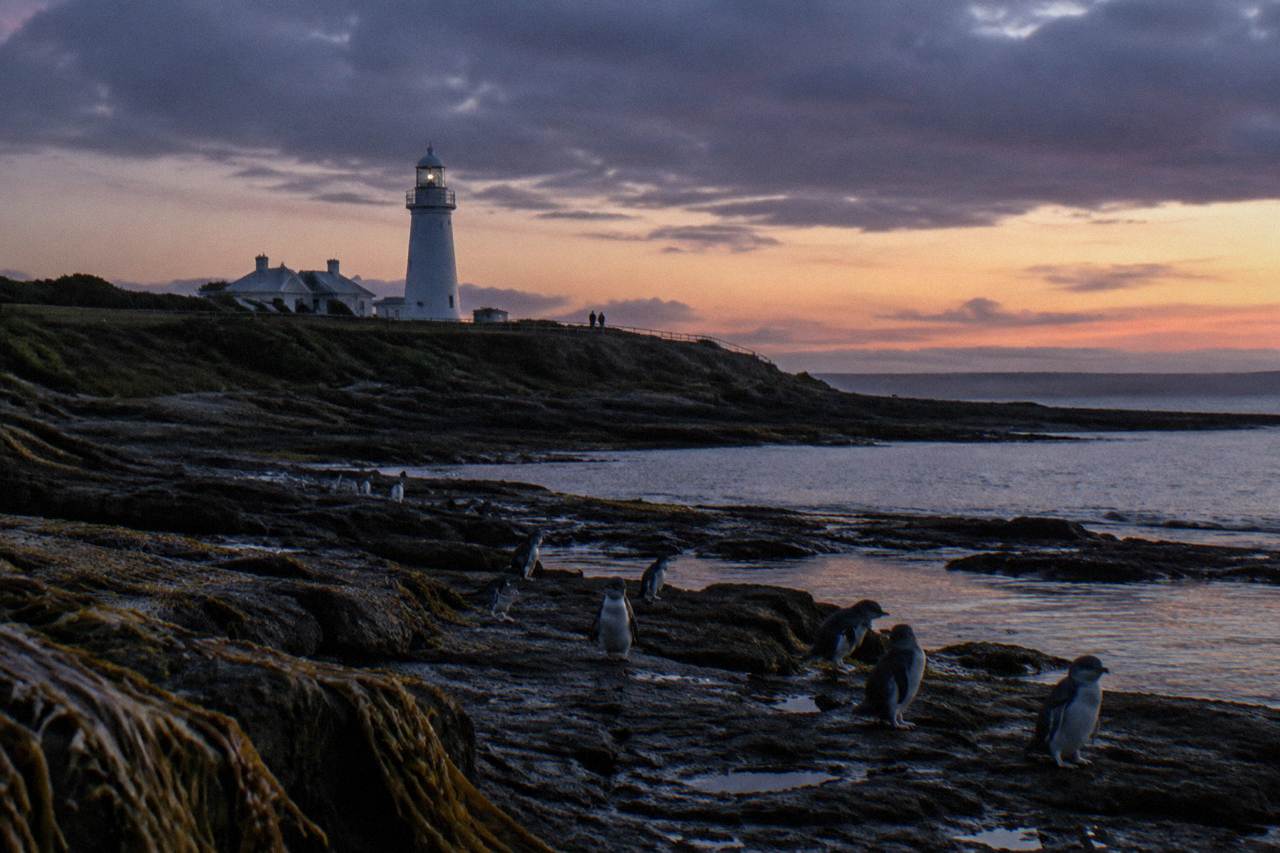 A dark coastal headland at dusk with a lighthouse silhouette above low rocks and calm sea
