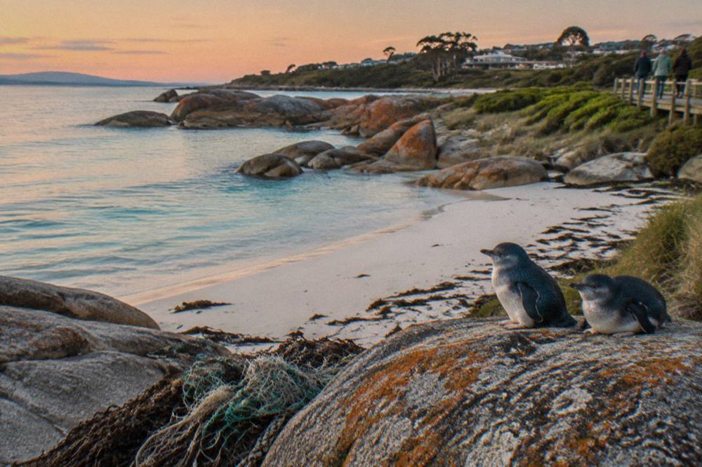 A granite coastline with white sand and calm turquoise water under an evening sky