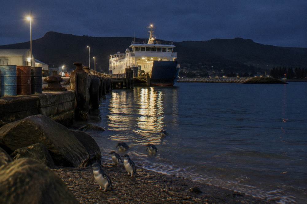 A sheltered harbour with a vehicle ferry at the berth and hills behind