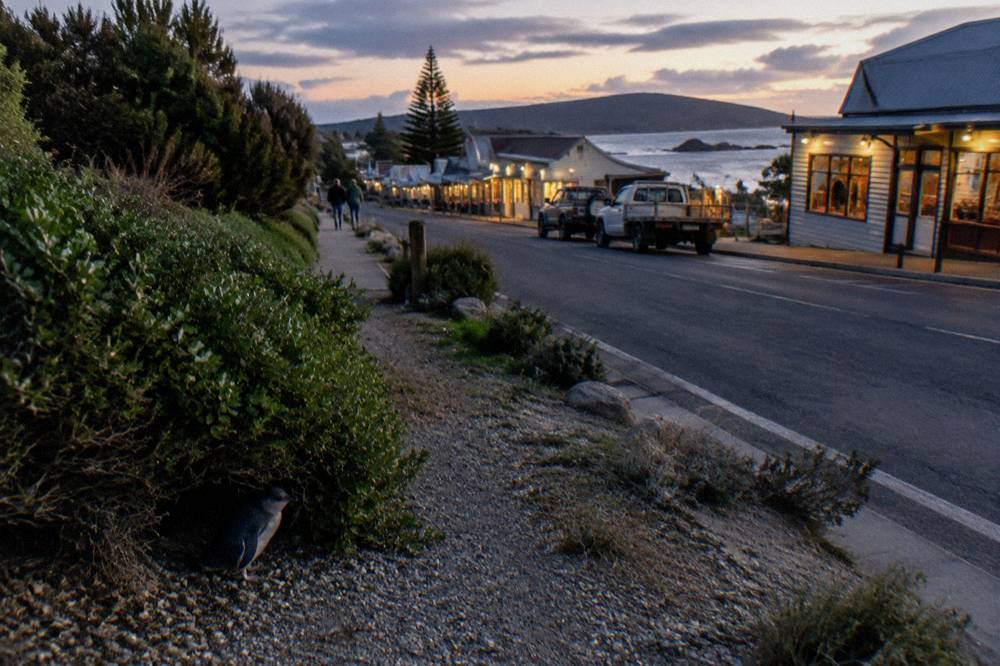 A quiet seaside town street at dusk with shops and parked cars