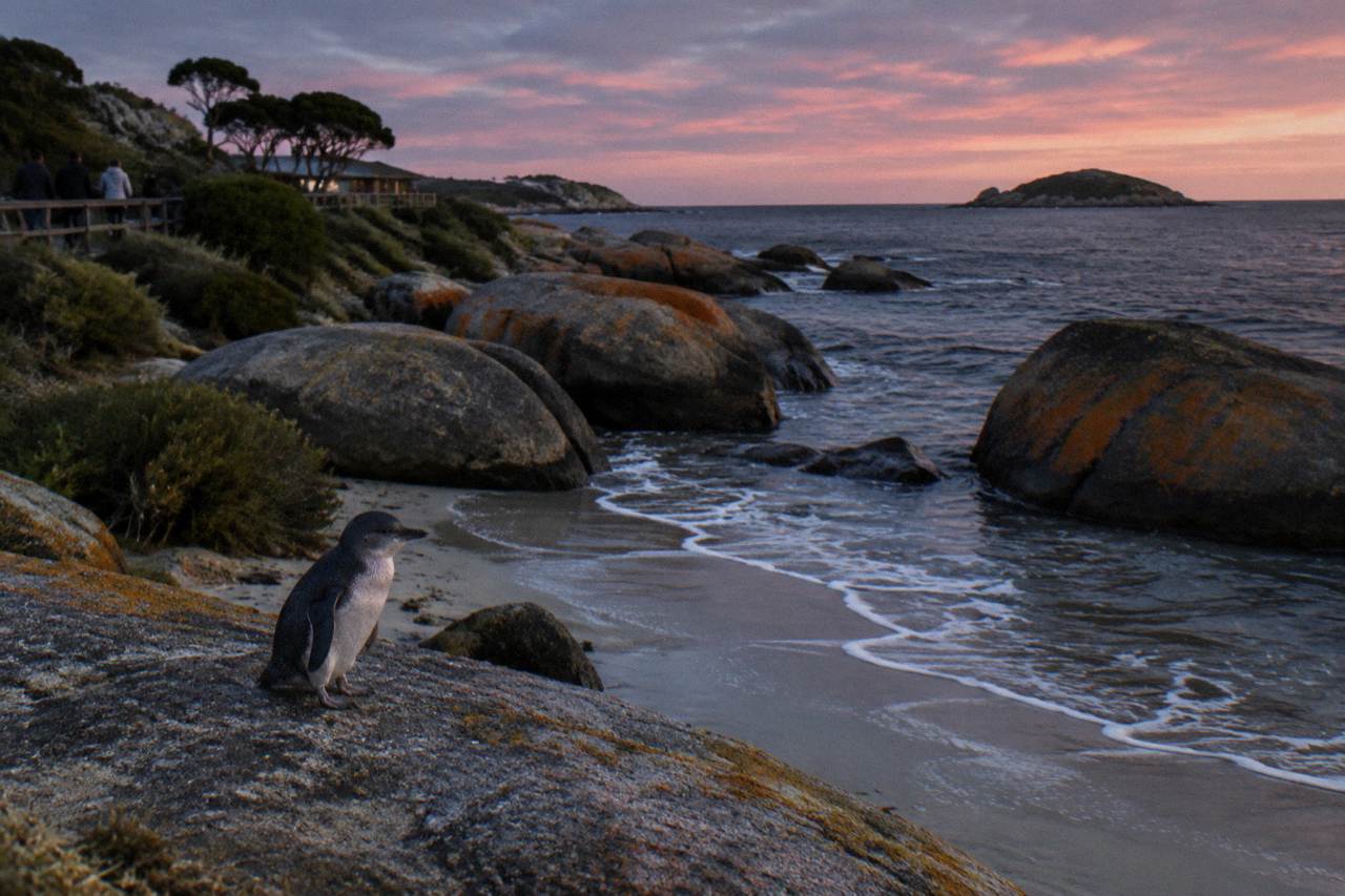 A quiet granite coastline at dusk with dark water and fading light over the sand