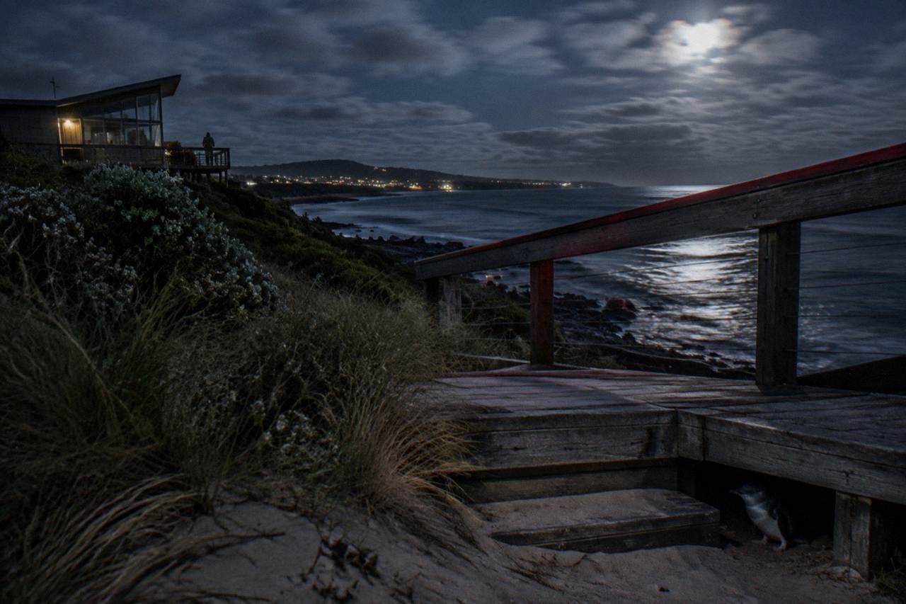 A low timber boardwalk along a dark Tasmanian beach at dusk with faint red lighting on the handrail