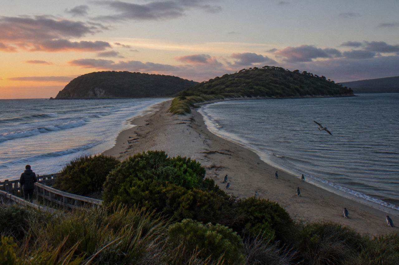 A narrow sand isthmus connecting two green island halves under a wide evening sky