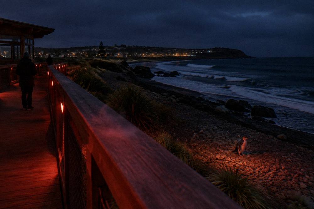 A dim red-lit wooden viewing platform above a dark pebbled beach at night