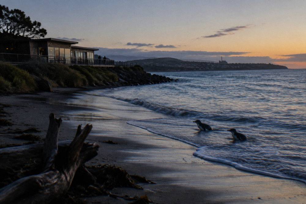 A calm north-west Tasmanian beach at last light with gentle waves and darkening sky
