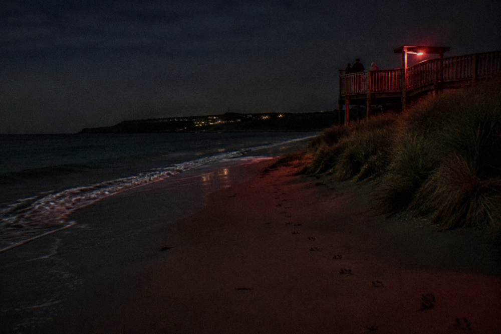A dark sandy beach at night with a faint red glow near a penguin viewing area