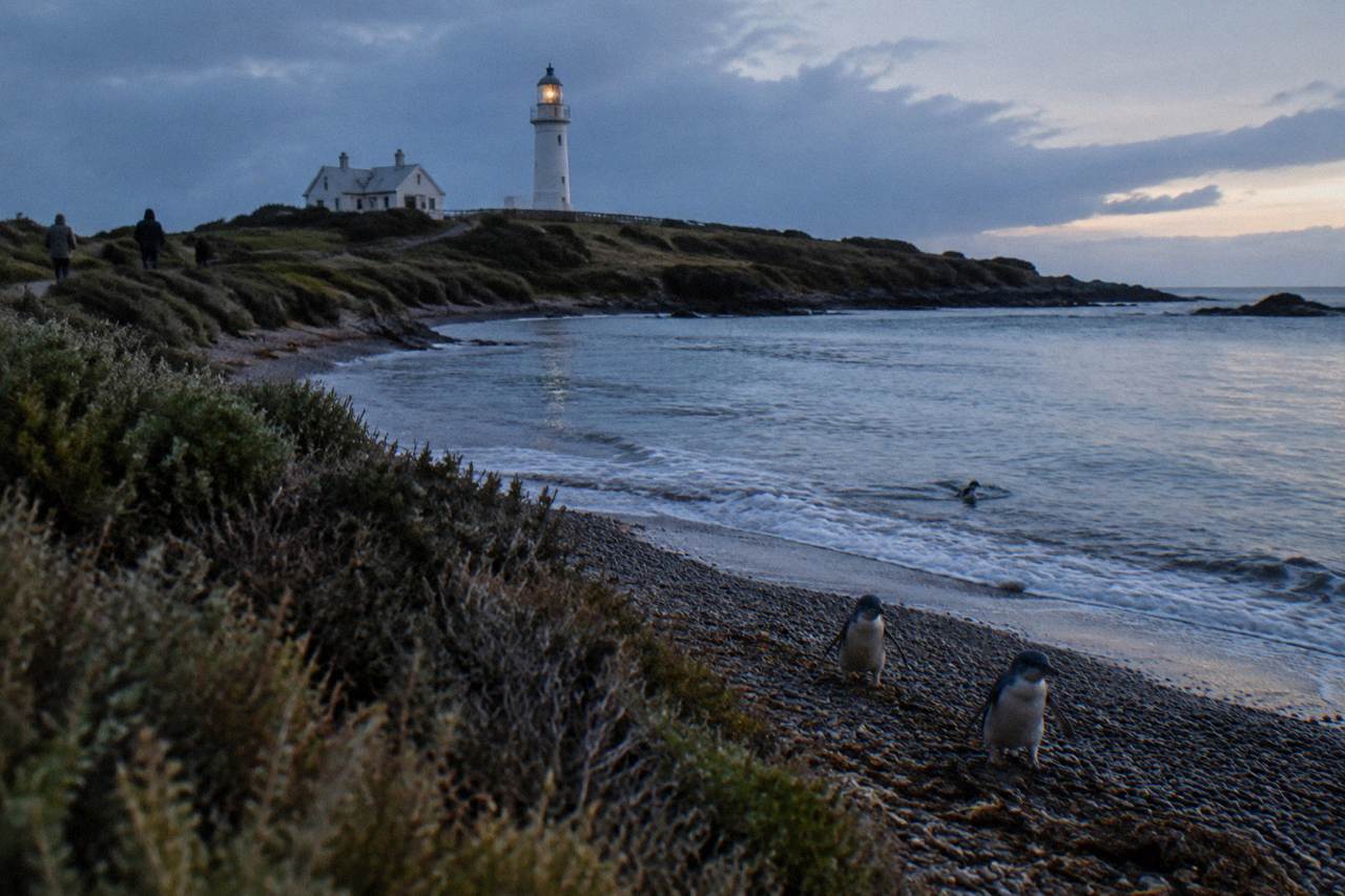 A quiet Tasmanian beach at dusk with fading light over dark water and sand