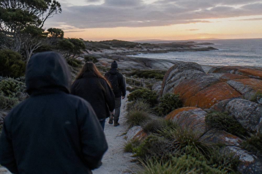 A guided group of visitors in dark clothing walking a coastal track toward a penguin rookery at dusk