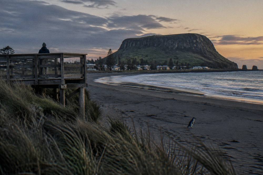 A wooden viewing platform beside a darkening beach with grassy dunes behind it