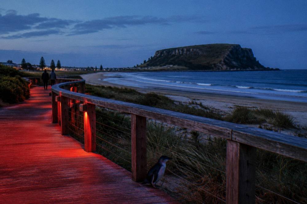 A red-lit timber boardwalk curving along a coastal dune under a deep blue evening sky