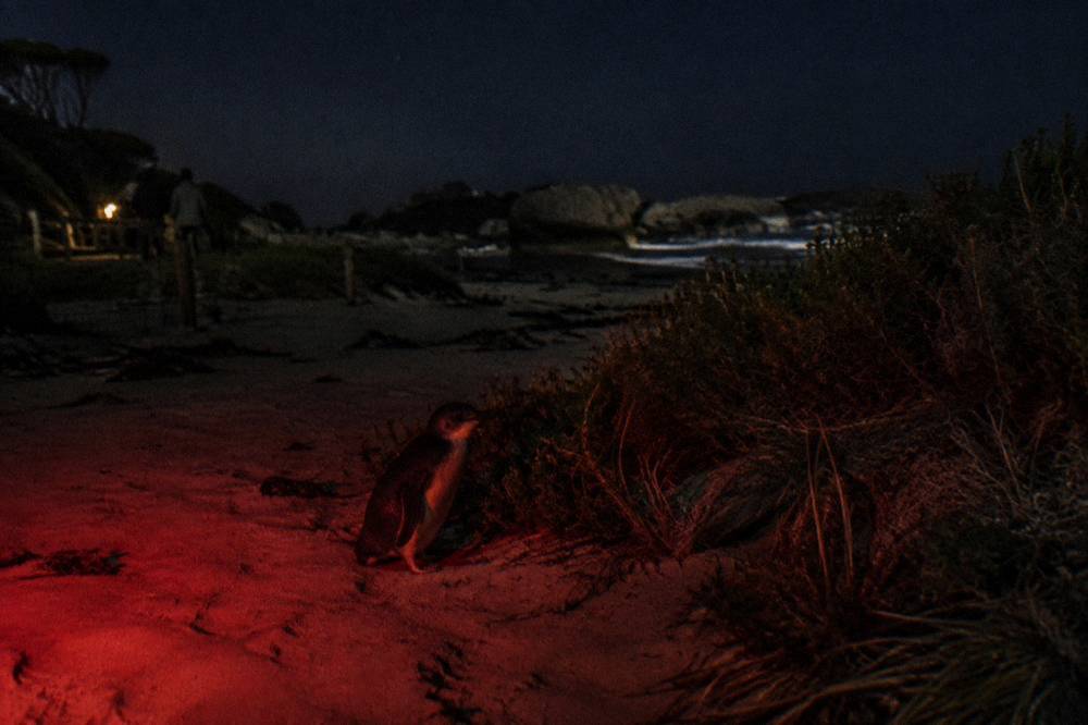 A red filtered torch glowing faintly over dark sand at night