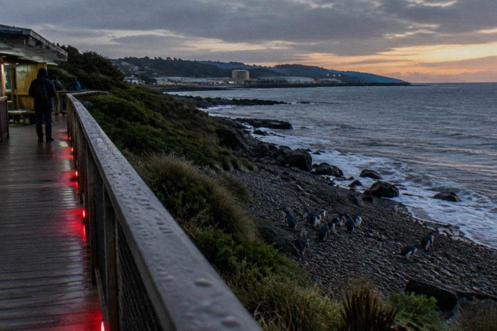 A wooden viewing platform beside a dark ocean beach at dusk