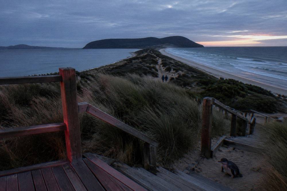 A wooden viewing platform beside a dark Tasmanian beach with red low lighting