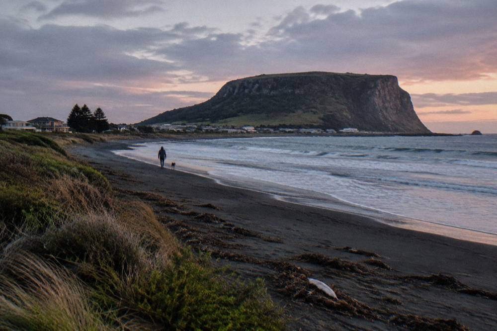 A calm Tasmanian beach at twilight with waves on dark sand and low coastal scrub