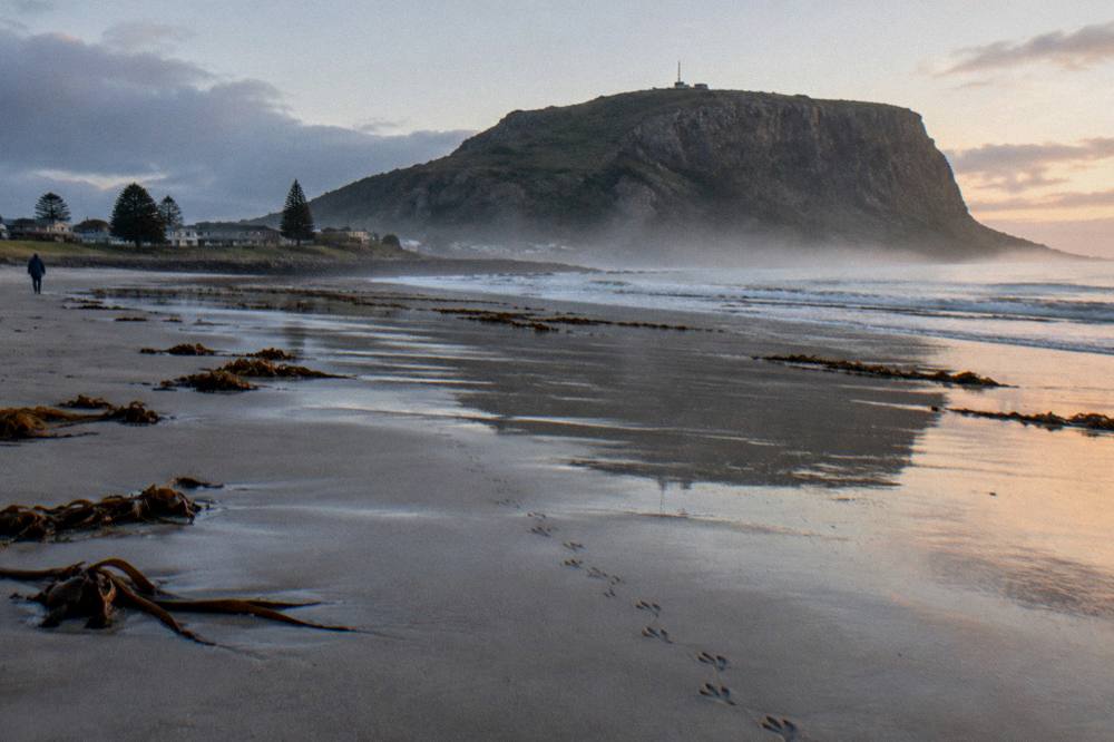 Little penguin footprints in wet sand on an empty Tasmanian beach at first light