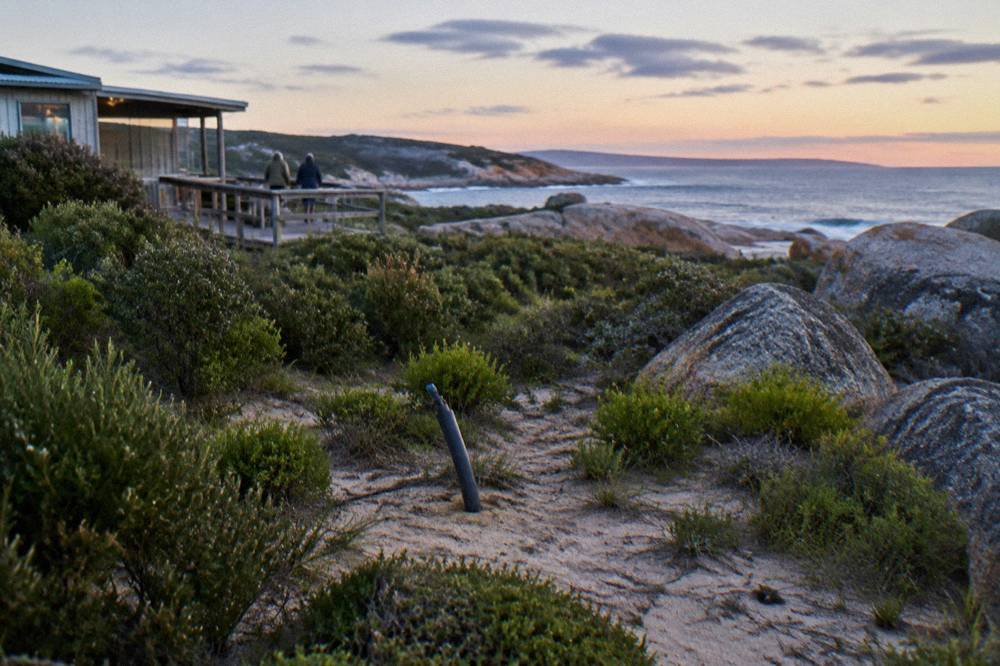 Coastal scrub and low bushes growing over sandy ground near granite boulders at dusk