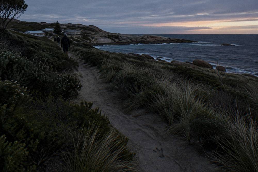 A dark coastal track through low scrub leading toward the ocean at dusk