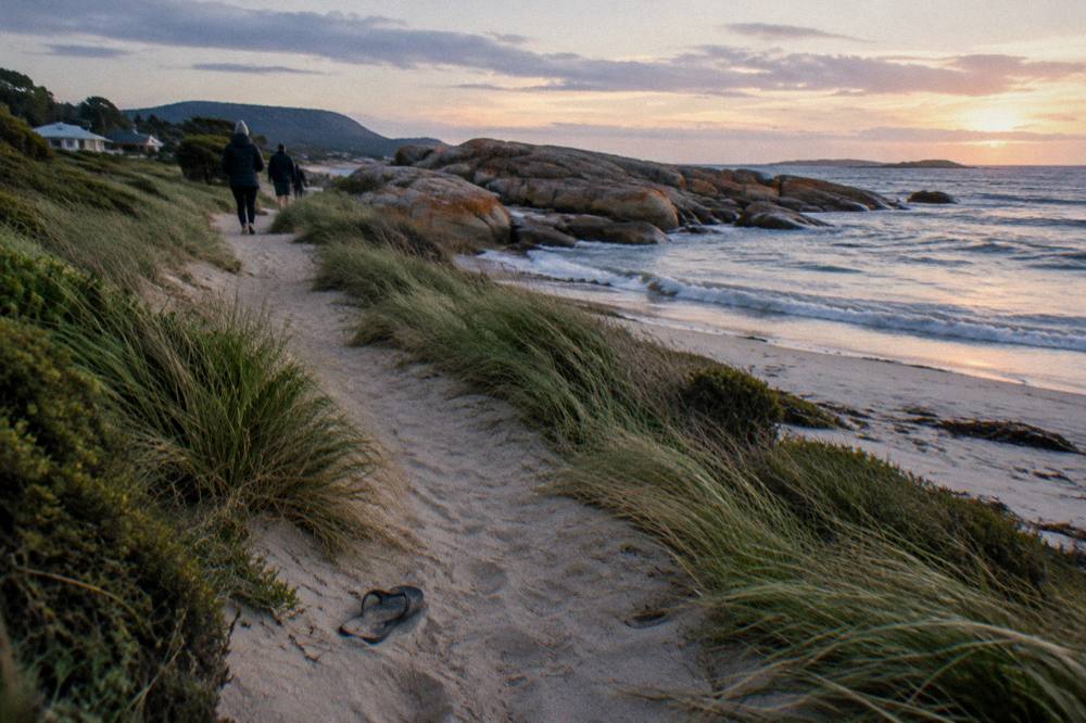 A sandy path along the shoreline with grassy dunes in fading light
