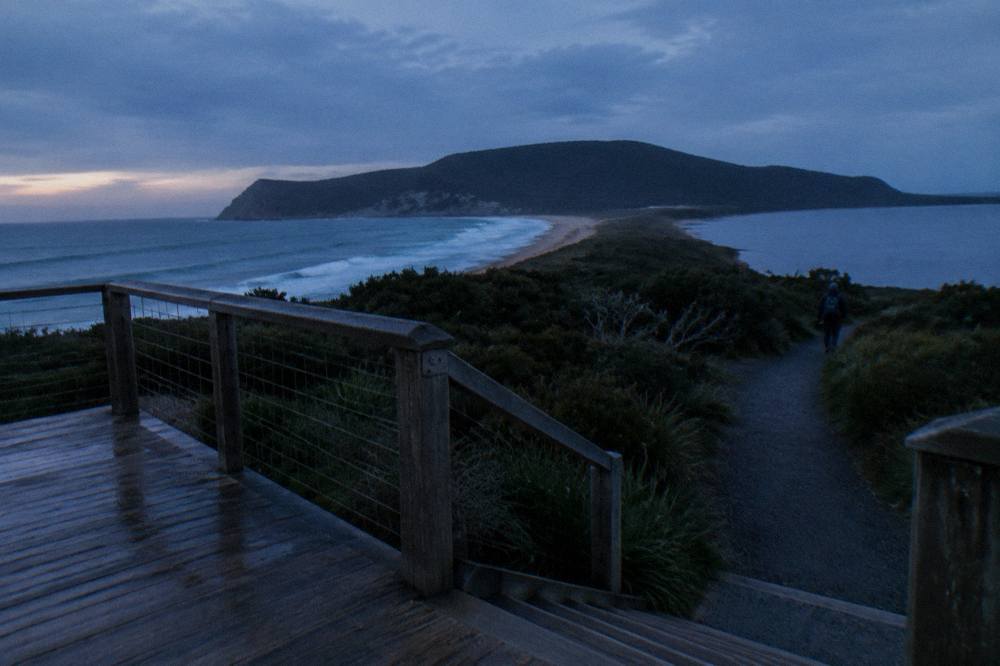 A wooden viewing platform beside a dark coastal reserve with low bushes and a gravel path