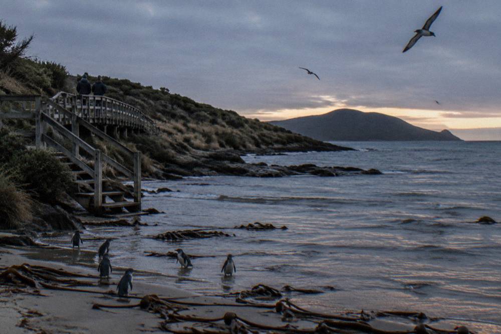 A dark sea at dusk with the last light on the horizon and waves on an empty beach