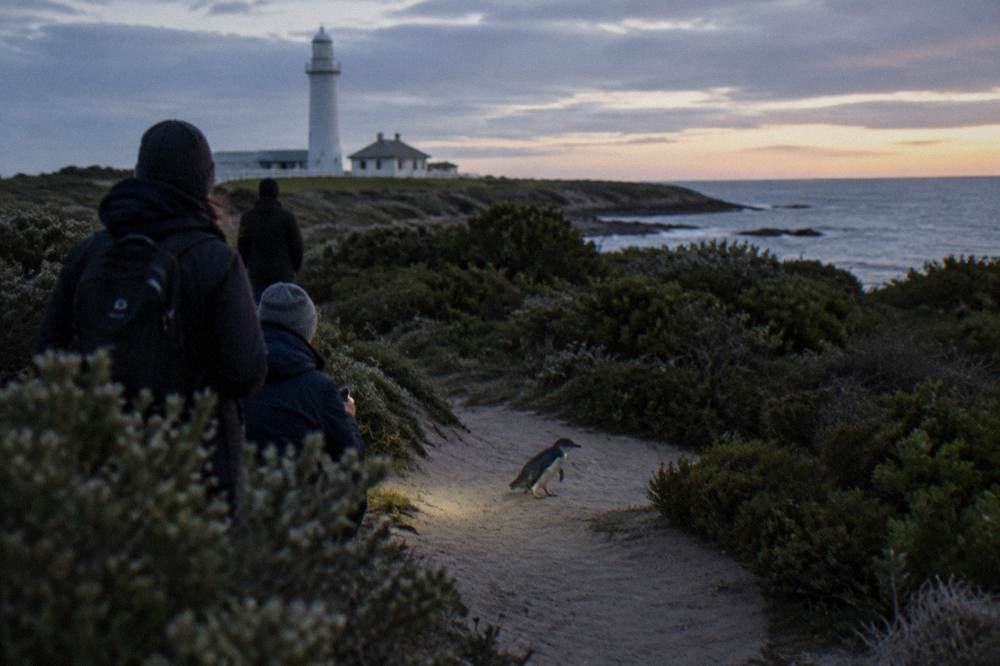 A small group of visitors in dark jackets standing quietly on a coastal reserve path at dusk