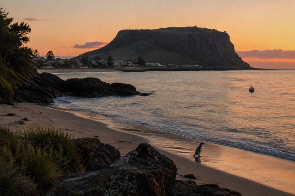 A quiet sandy cove on Tasmania's north west coast at twilight with headland silhouettes