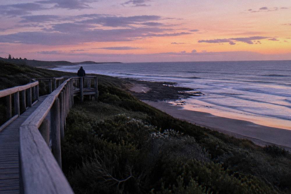 A low timber viewing platform beside dark coastal scrub at dusk