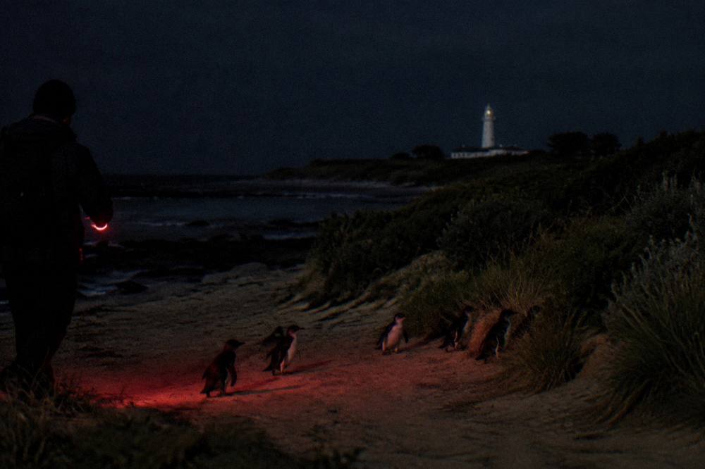 A faint red torch glow on a dark sandy beach at night
