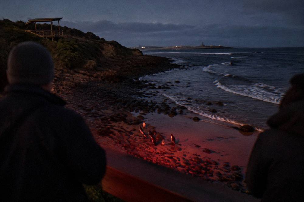A dark pebble beach at night with faint red light on the shoreline and people watching quietly from a platform