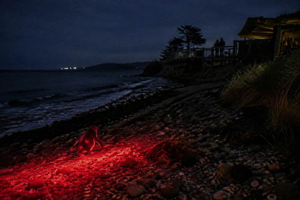 A red-filtered torch glowing dimly over a stony beach at night
