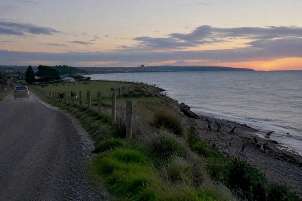 A coastal highway at dusk with the ocean on one side and farmland on the other