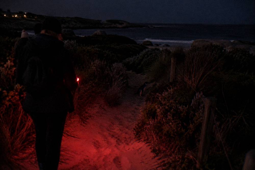 A dim red light glowing over a sandy track behind a beach at night.