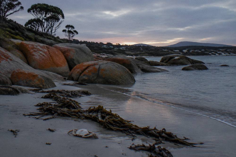 A rocky Tasmanian shoreline fading into dusk with no people on the sand