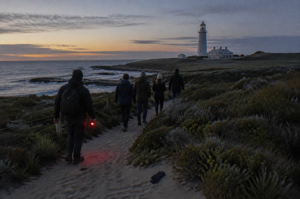 A guide with a red torch leading a small group along a coastal path at dusk