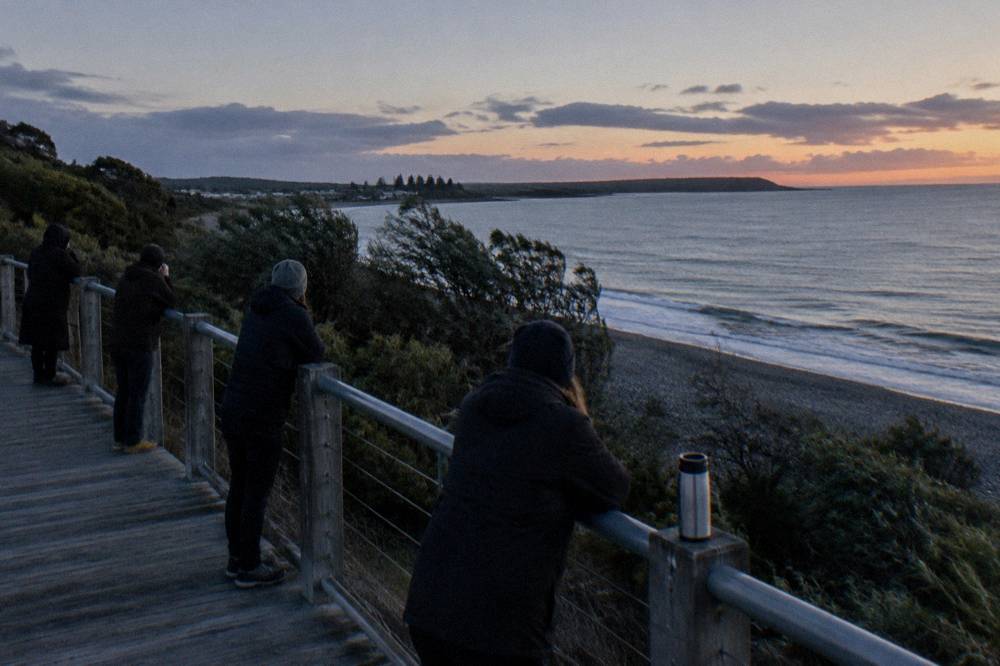 Visitors in dark clothing waiting quietly on a coastal boardwalk after sunset