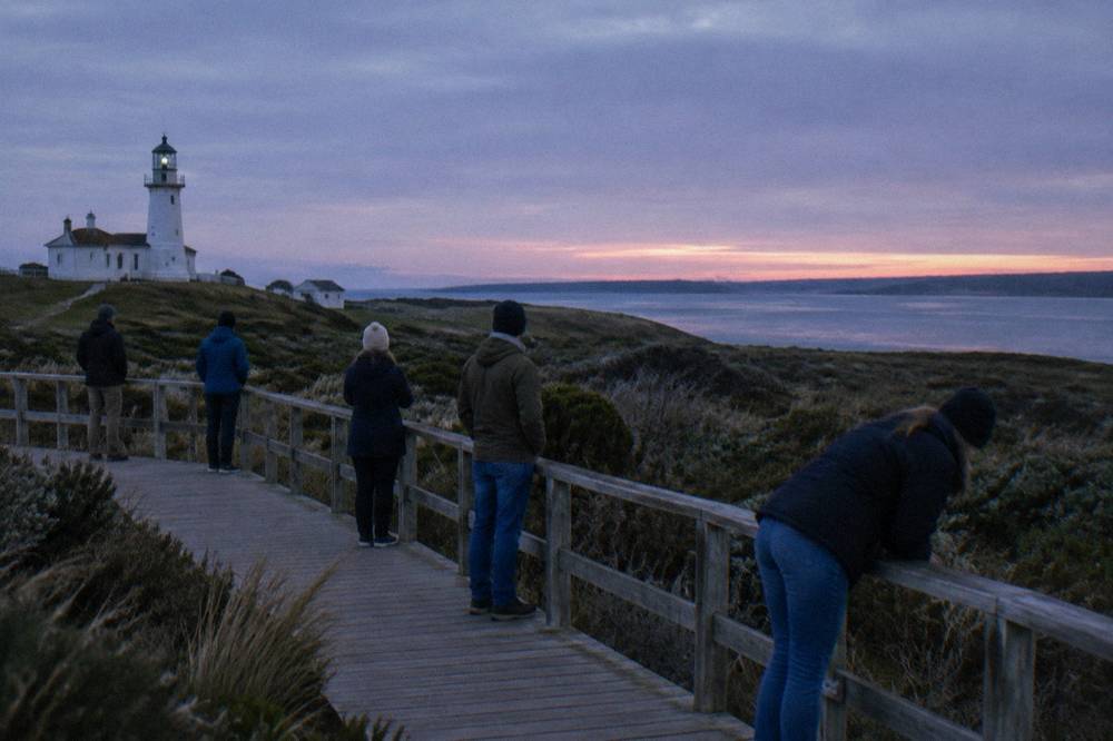 A small group of visitors standing quietly on a boardwalk beside coastal scrub at dusk