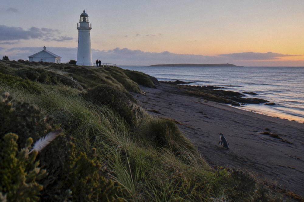 A headland lighthouse standing over dark water as the last light fades