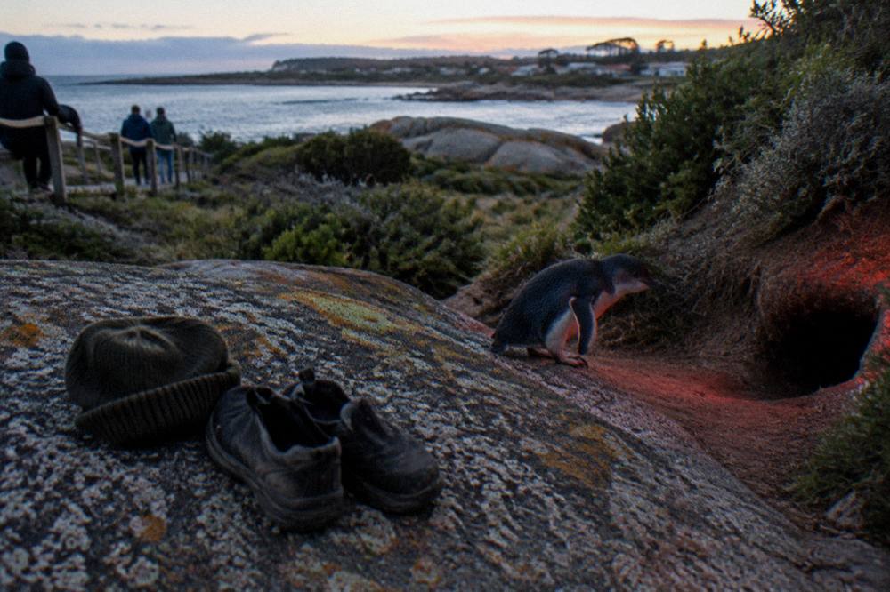 Warm jackets and enclosed shoes laid out on a wooden bench before an evening tour