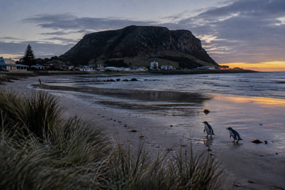 A darkening shoreline at dusk with gentle waves washing over flat sand