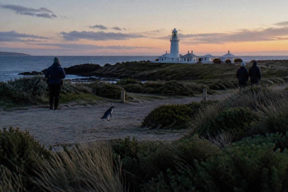 A small group of visitors in dark clothing standing quietly on a coastal path at dusk