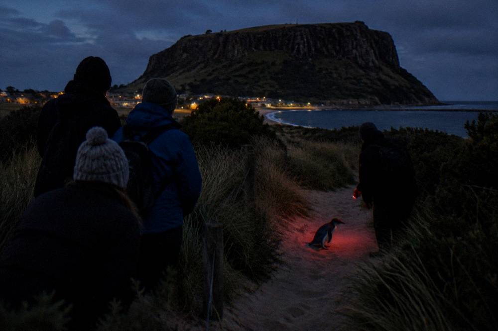 A guide with a red torch speaking to a few visitors on a dark beach path